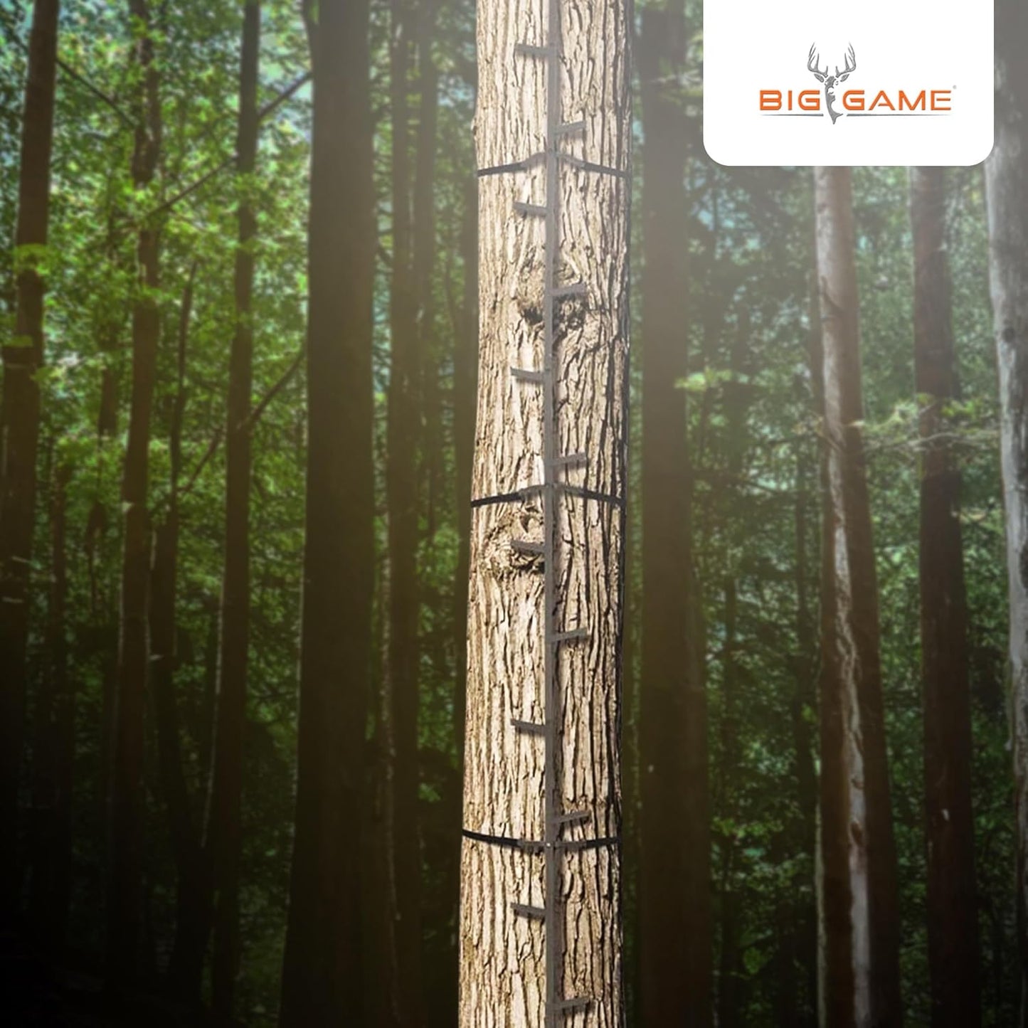 Big Game Quick-Stick Whitetail Deer Elk Mule Above Hunting Outdoors Slip Resistant Ladder Style Sections Climbing System